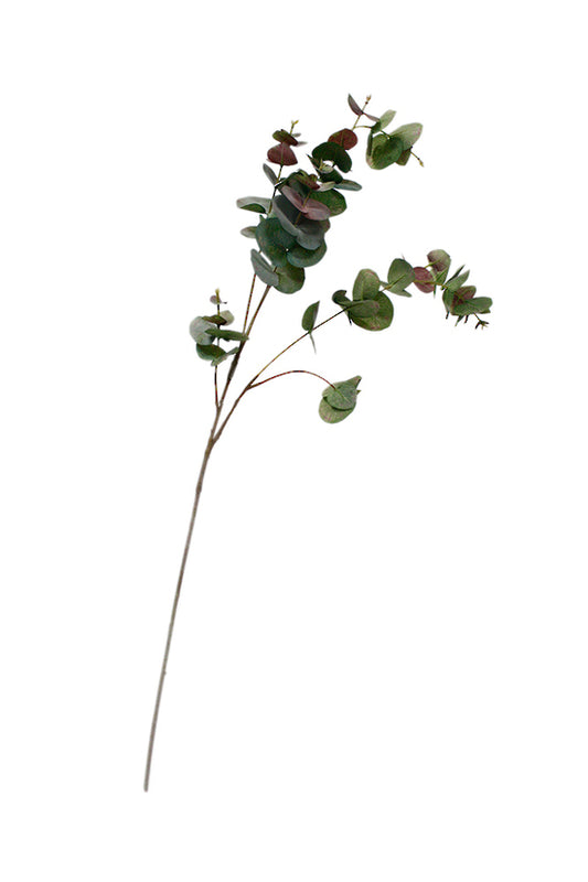 Eucalyptus Spray Green/Brown 98cm