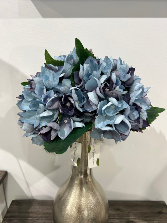 English Hydrangea Blue/Purple