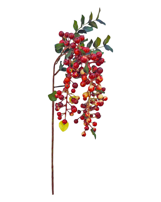 Native Hanging Berry Red