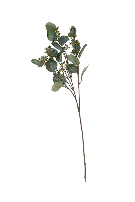 Gunni Eucalyptus Stem