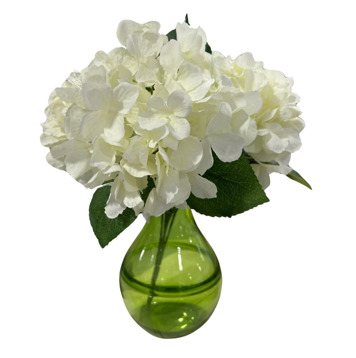 French Hydrangea bush white