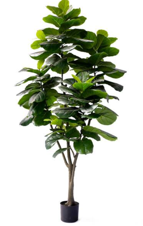 Ficus Faux Plant - Black Tall Potted Plant