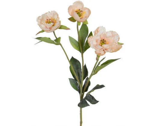 Princess Peony Antique Blush