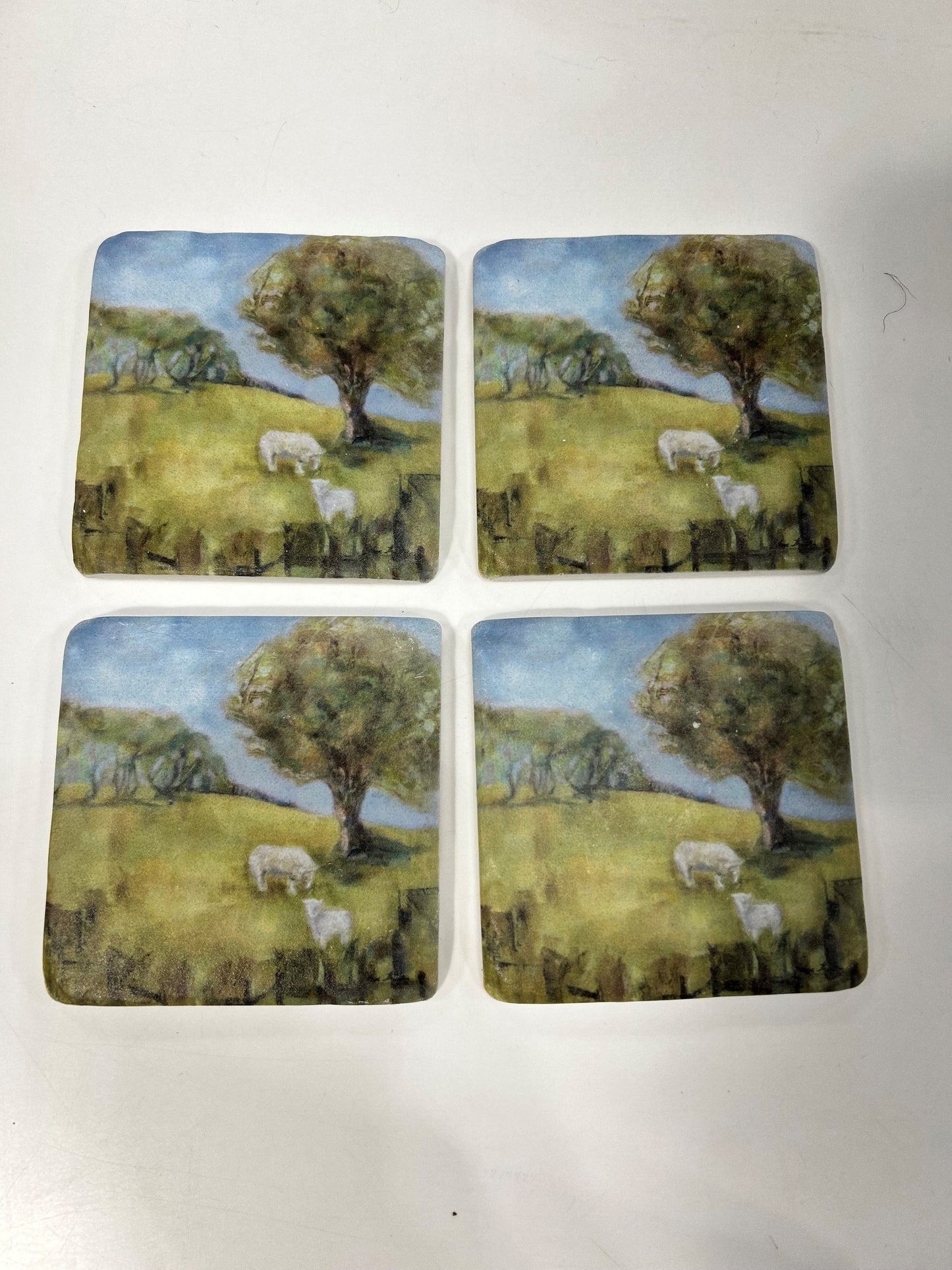 Coaster Set Field